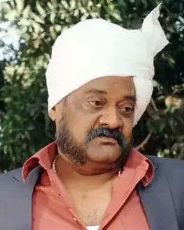 P. Ravishankar