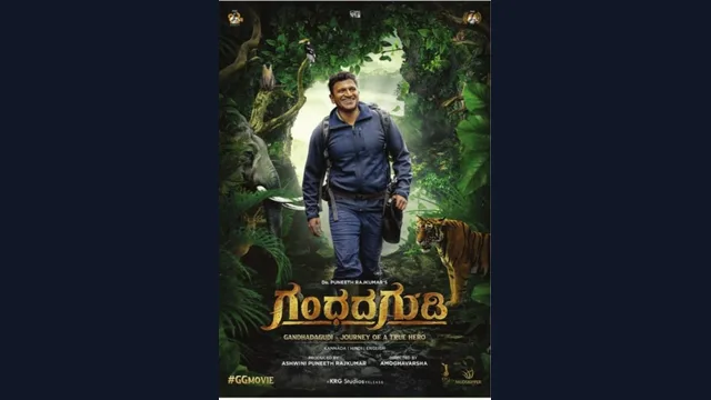 Gandhada Gudi — official film artwork