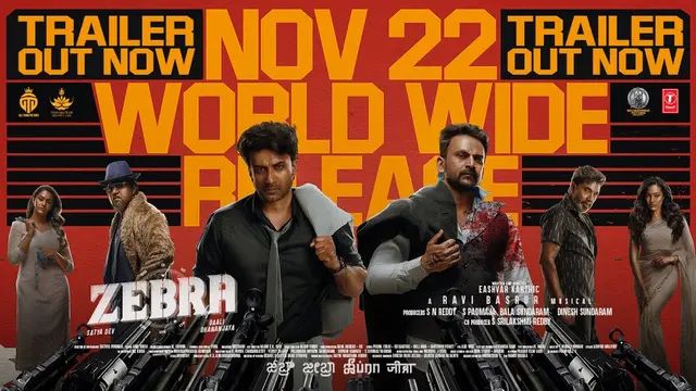 Zebra — official film artwork